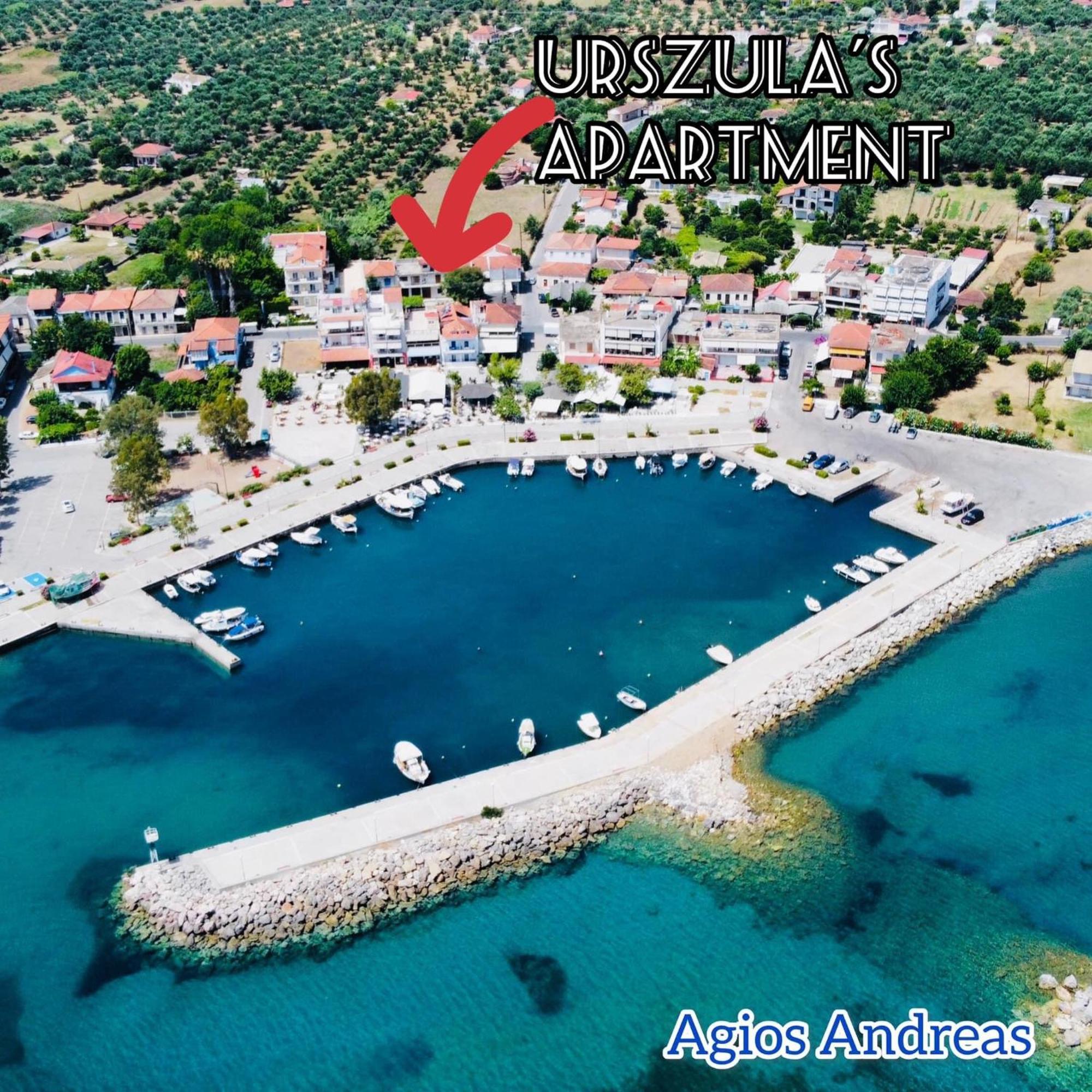 公寓 Urszula's - By The Sea *